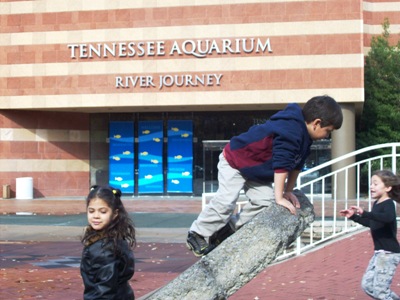 TN Aquarium